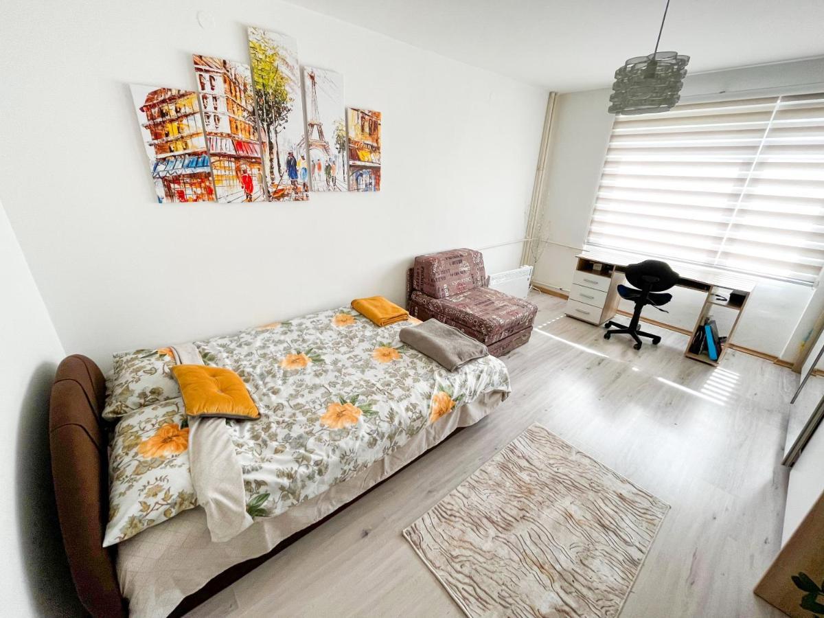 Sova Apartment Vrsac Exterior photo